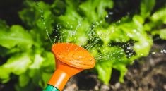 Tips om dit seizoen uw tuin zo efficiënt mogelijk water te geven