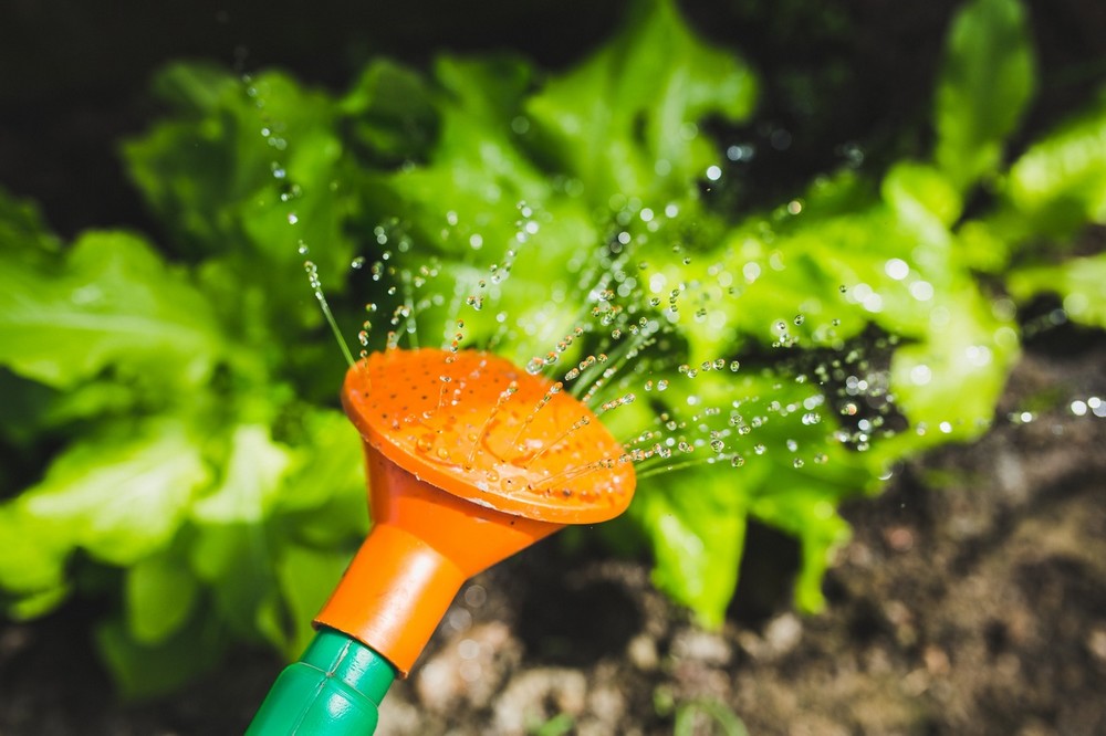 Tips om dit seizoen uw tuin zo efficiënt mogelijk water te geven